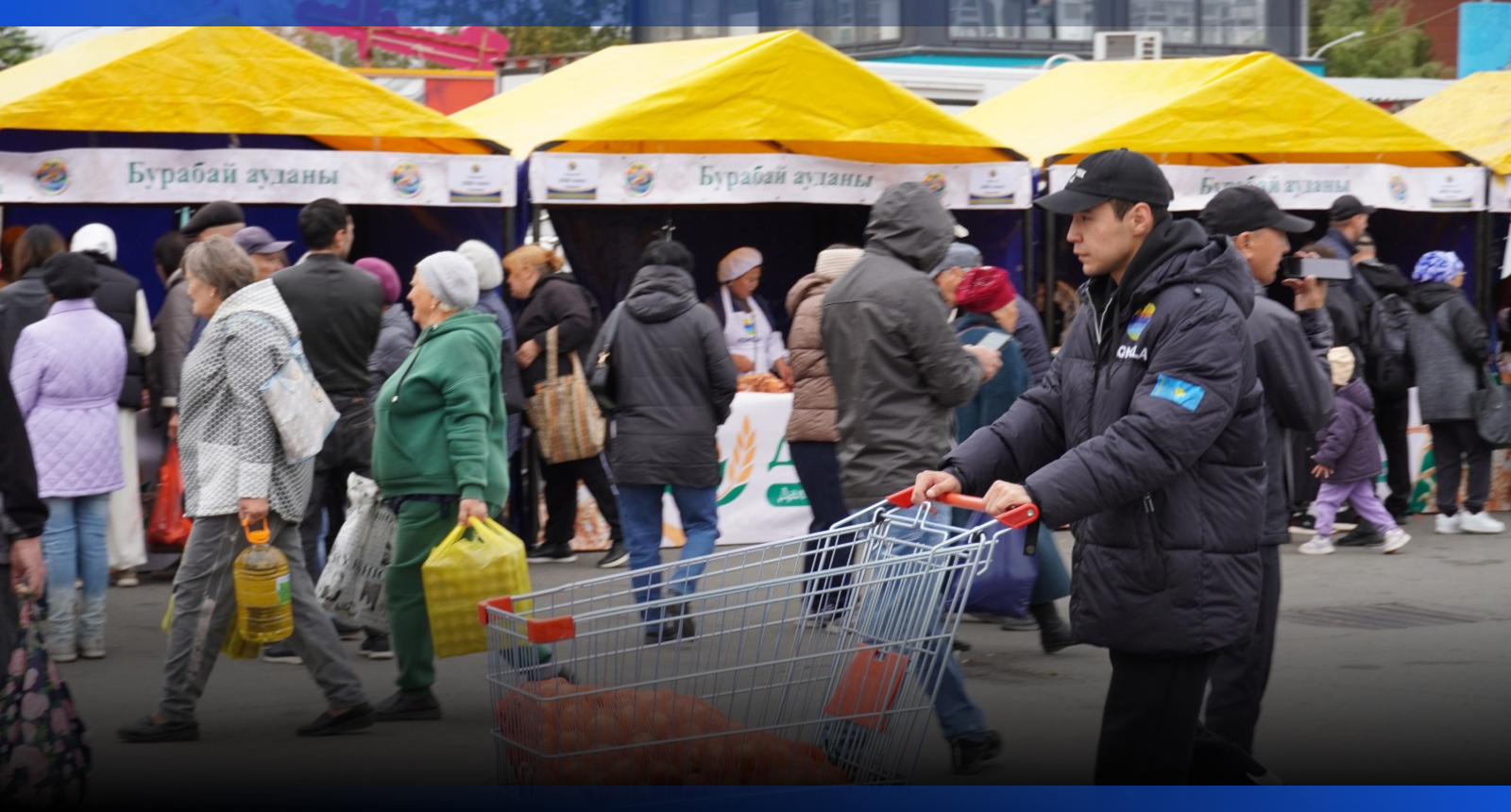 Image for 200 тонн продукции по доступным ценам: в Кокшетау прошла сельхозярмарка
